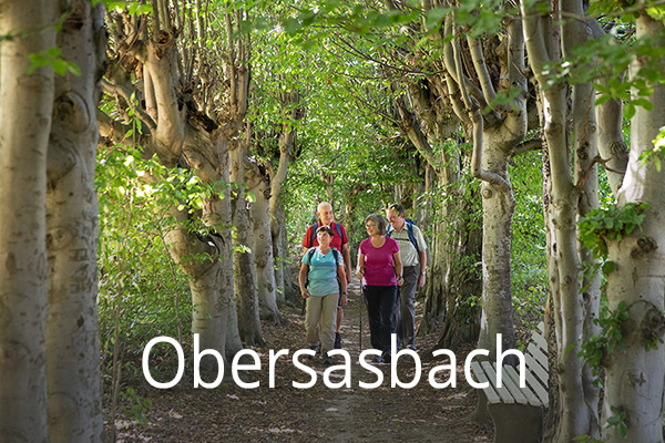 Obersasbach